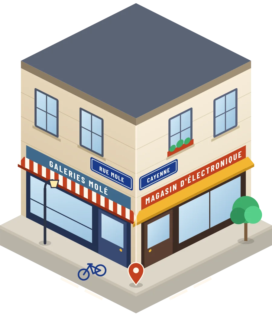 Galeries Molé, magasin d'électronique rue Mole à Cayenne (illustration)